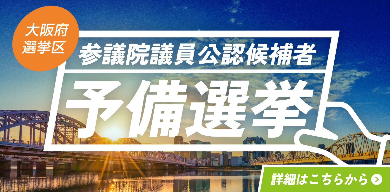 参議院議員公認候補者予備選挙