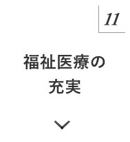 マニュフェスト11 福祉医療の充実